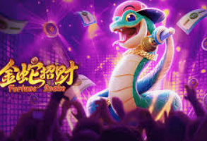 新kiyaun网页版登录2024最新版