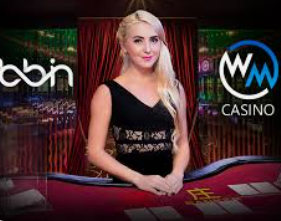 新kiyaun网页版登录电脑免费版